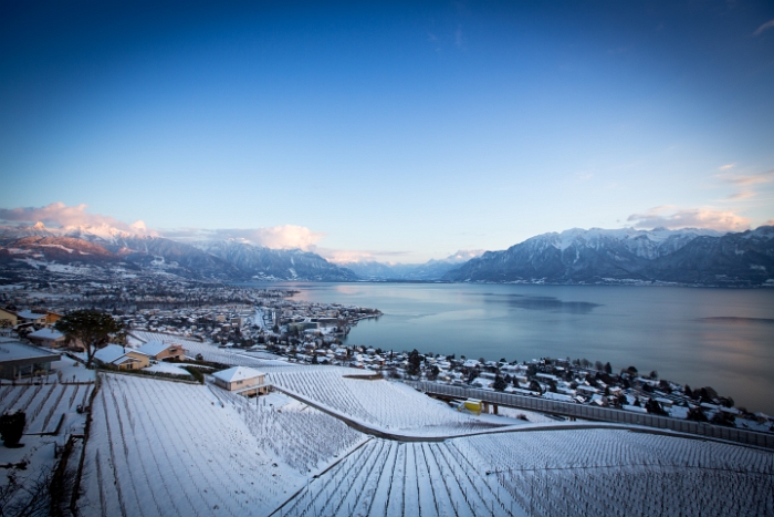 Fin de journée dans le Lavaux - 019